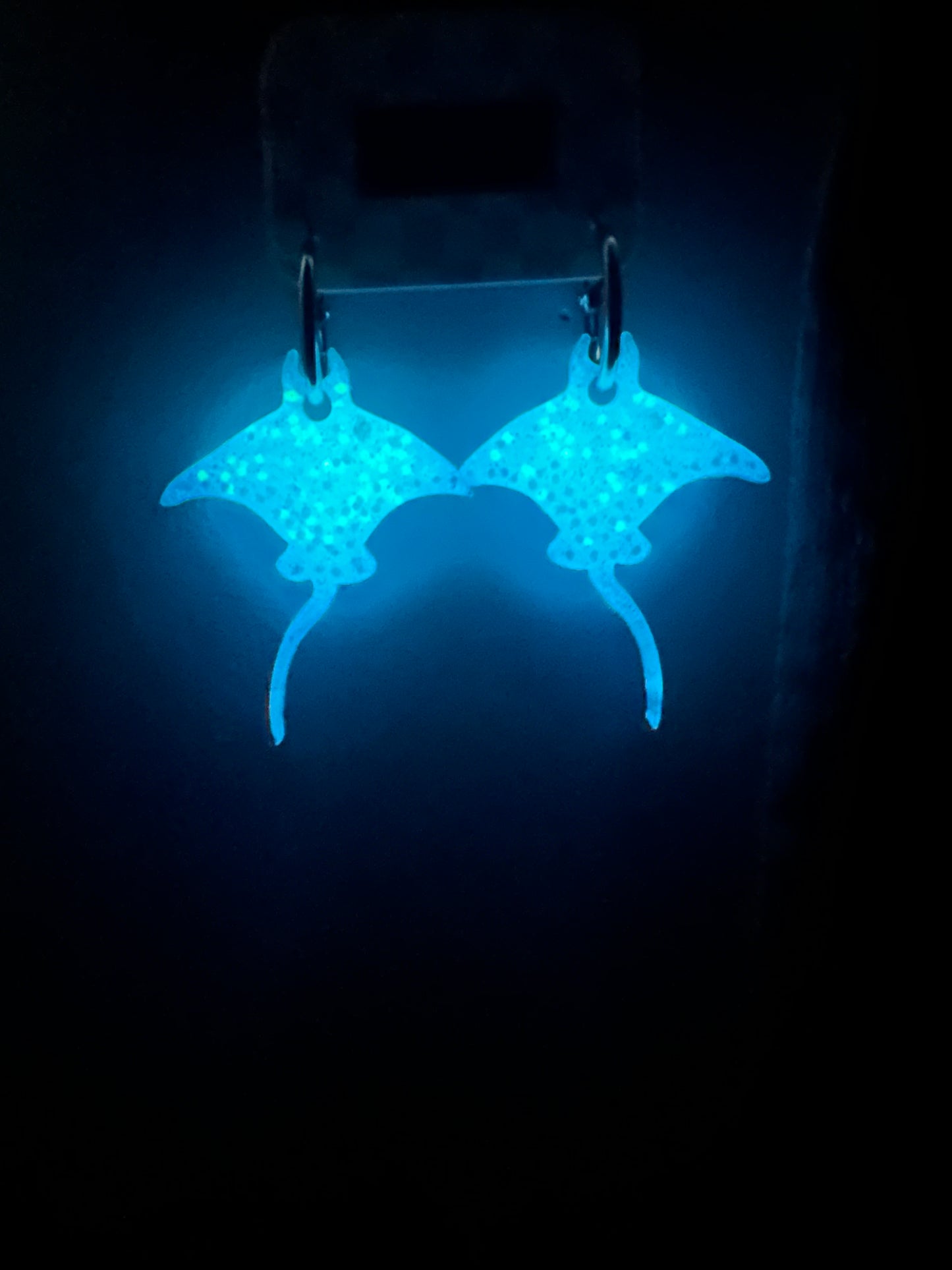 Stingray Glow in The Dark Hoop